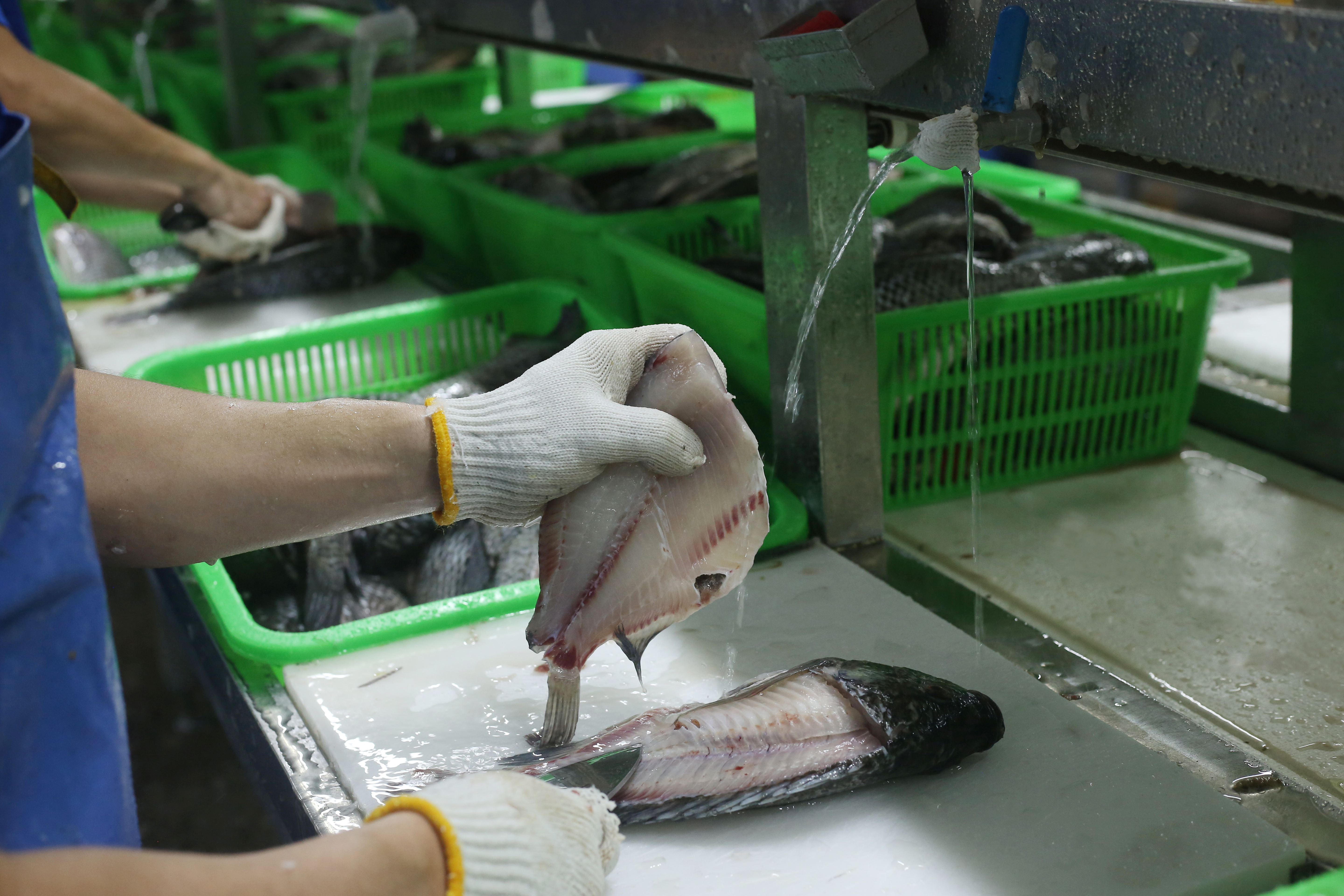 首頁（BASE DISPLAY）左側01